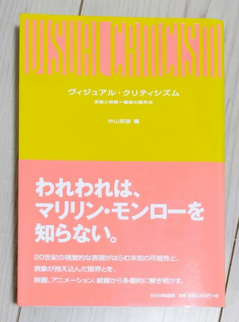 ヴィジュアル・クリティシズム 表象と映画＝機械の臨界点/玉川大学出版